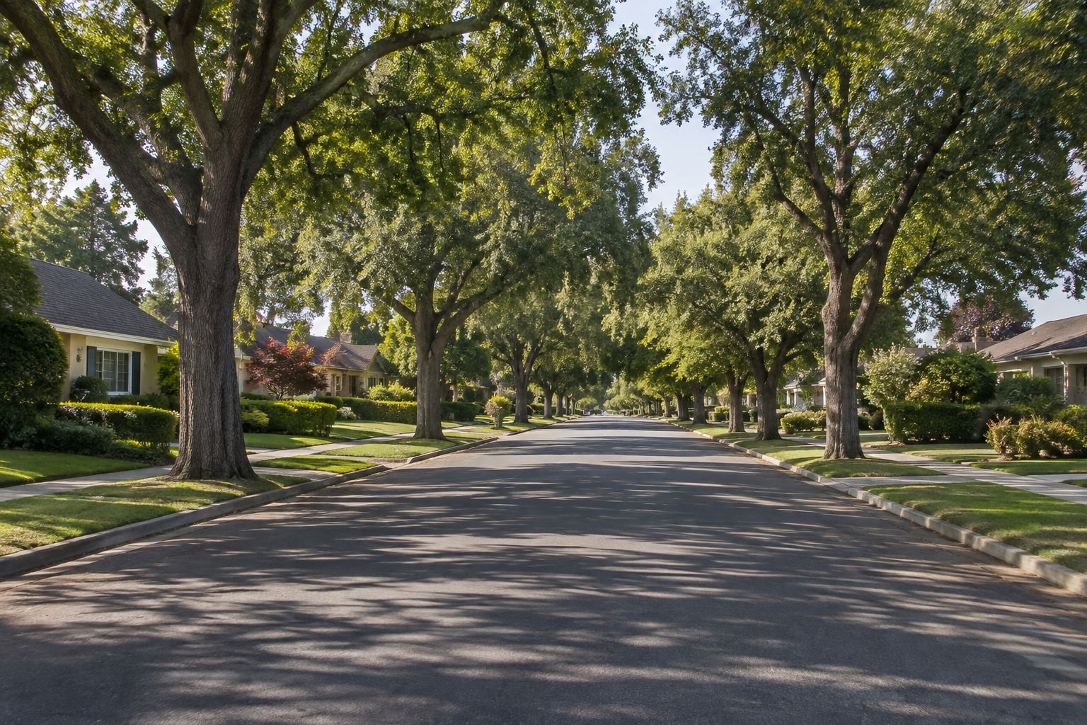 Bullard, Fresno